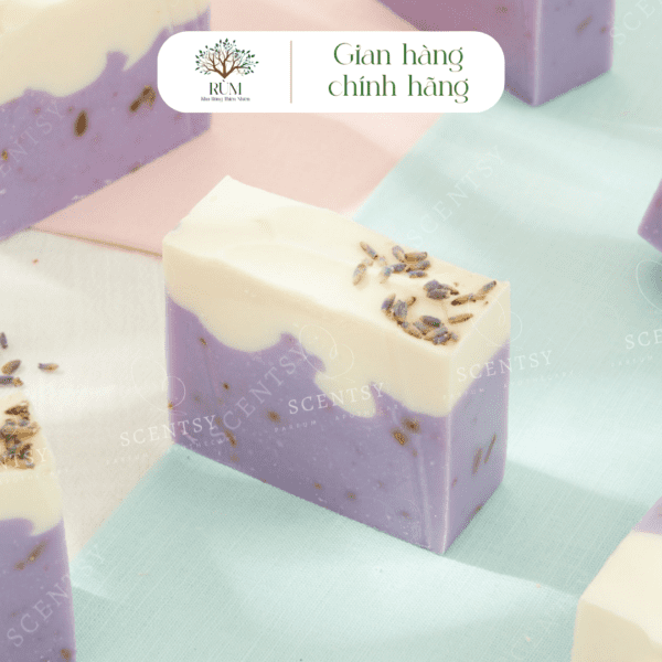 Xà Phòng Tắm Thủ Công Thiên Nhiên | Mùi Lavender Cám Gạo Sữa Non | Giảm Mụn & Phục Hồi Da | Scentsy