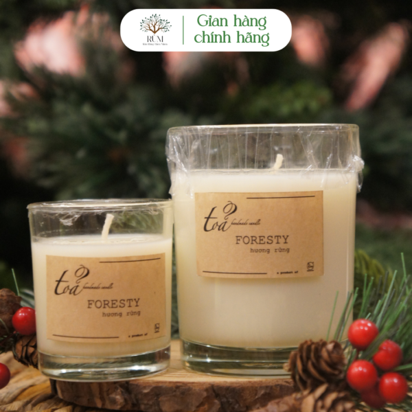 Nến Thơm Concept Foresty 210g | Tỏa Handmade Candles