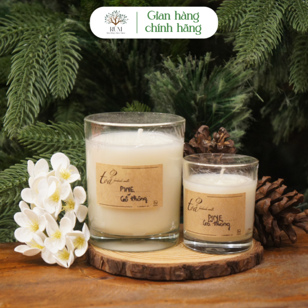 Nến Thơm Hương Thông (Pine) 70g | Tỏa Handmade Candle