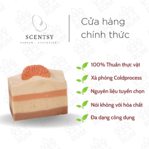 Xà Phòng Thiên Nhiên | Cấp ẩm | Mùi Bánh Quýt | Scentsy